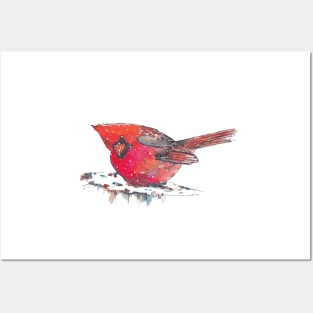 Christmas red cardinal in winter - pattern Posters and Art